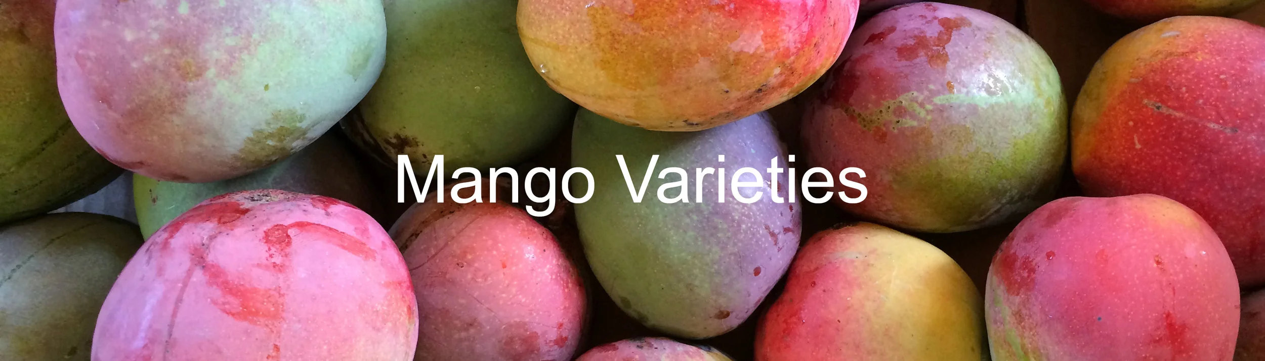 Other Tropical Fruits — The Mango Place Other Tropical Fruits — The Mango Place